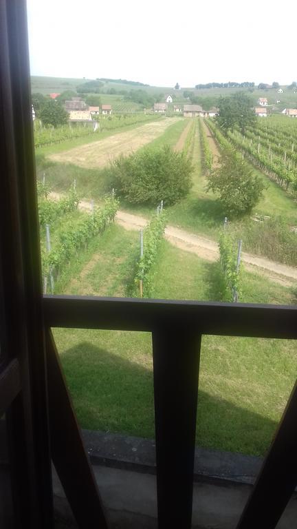 Burai Vendeghaz Hotel Villány Buitenkant foto